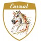Tapis CSO Back on Track blanc avec logo Cavaal