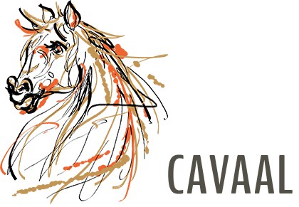 Cavaal